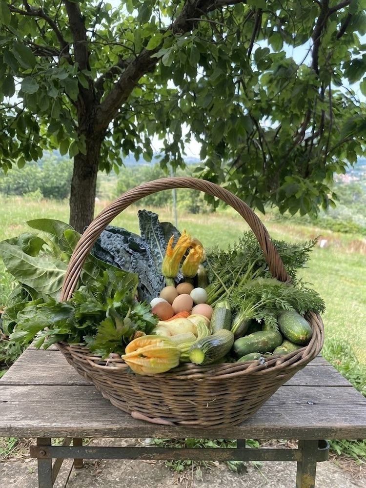 Cesto di verdure di stagione e uova della Fattoria Il Bosco D'Obaca a Vellano