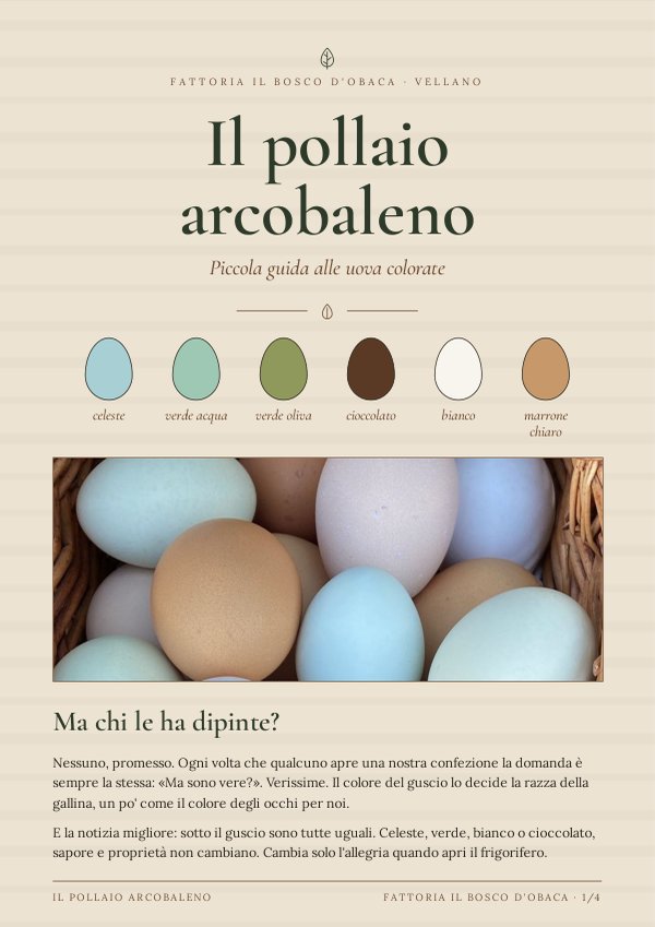 Copertina della guida Il pollaio arcobaleno: piccola guida alle uova colorate